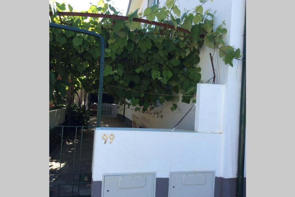 Casa Isabel 2 Bedroom Apartment Near Porto Fanzeres Екстериор снимка